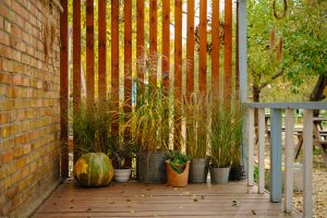 Quel bois choisir pour un brise-vue extérieur résistant et esthétique ?